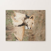 Jigsaw puzzle Portrait d'une lionne (Horizontal)