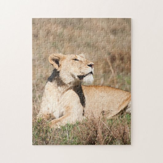 Jigsaw puzzle Portrait d'une lionne (Vertical)