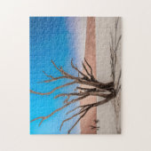 Jigsaw puzzle Scape à Deadvlei (Vertical)