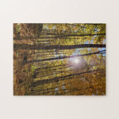 Jigsaw Puzzle - Sunshine Through Fall Woods (Horizontal)