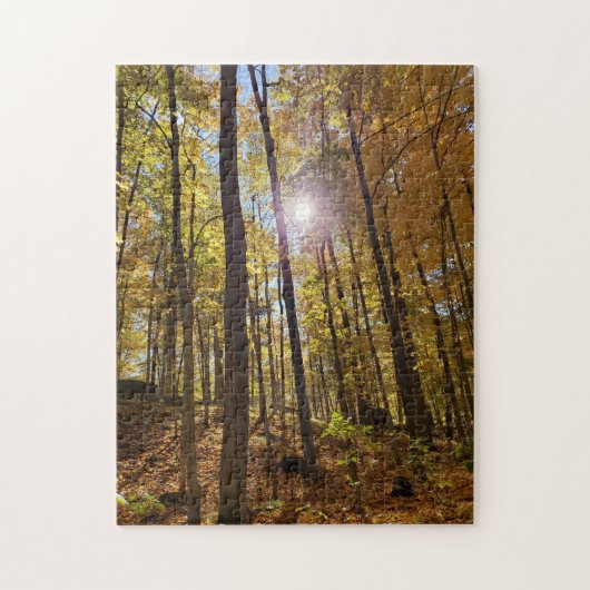 Jigsaw Puzzle - Sunshine Through Fall Woods (Vertical)