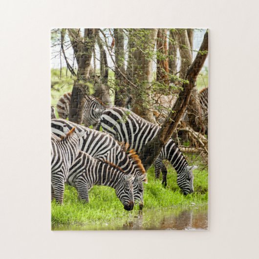 Jigsaw puzzle Zebras près de la rivière (Vertical)