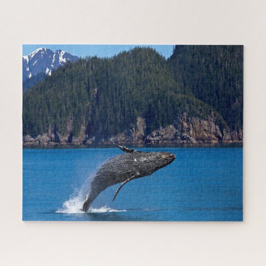 Jigsaws Humpback Whales. Legpuzzel (Horizontaal)