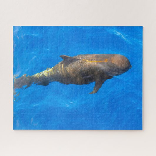 Jigsaws Pilot Whales Legpuzzel (Horizontaal)