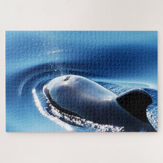 Jigsaws Pilot Whales Legpuzzel (Horizontaal)