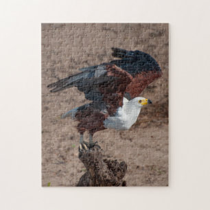 Jigzaag Puzzle African Fish Eagle Legpuzzel