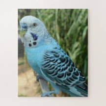 Jigzaag Puzzle
