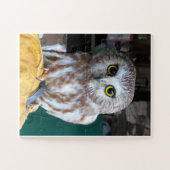 Jigzaag Puzzle Owl Legpuzzel (Horizontaal)