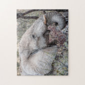 Jigzaag Puzzle Portret van een ellephant Browsing Legpuzzel (Verticaal)