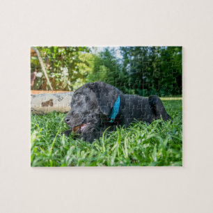 Jigzaag puzzle Puppy Labrador Legpuzzel