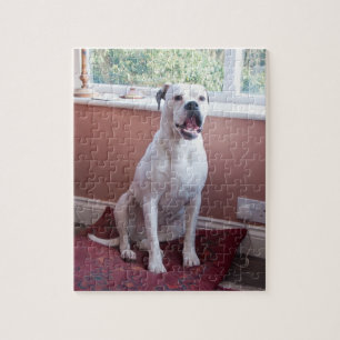 Jigzaag Puzzle: White Boxer Dog Legpuzzel
