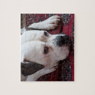 Jigzaag Puzzle: White Boxer Dog Legpuzzel