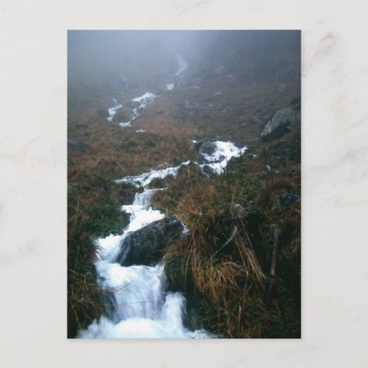 JIJ, BELOVED BRIEFKAART (Voorkant)