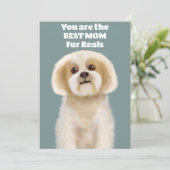 Jij bent de beste MOEDER Feestdagenkaart (Staand voorkant)