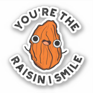 Jij bent de Raisin I Smile Funny Food Pun Sticker