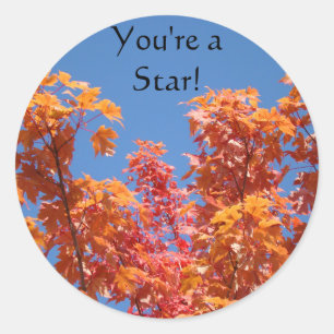 Jij bent een Ster! stickers Herfst Boom Bladeren B