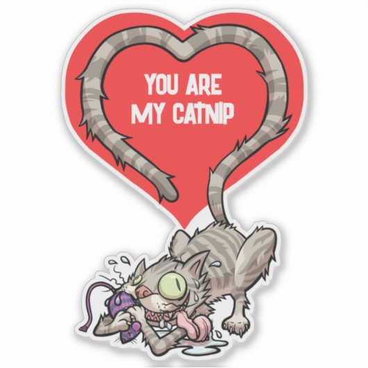 Jij bent mijn Catnip Funny Valentijns's Cat Cartoo Sticker (Voorkant)
