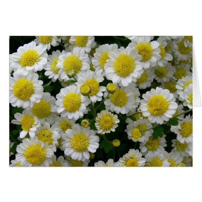 Jij bent mijn zonneschijn (Voorkant Horizontaal)