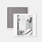 Jij ezel magneet (Voorkant / Achterkant)