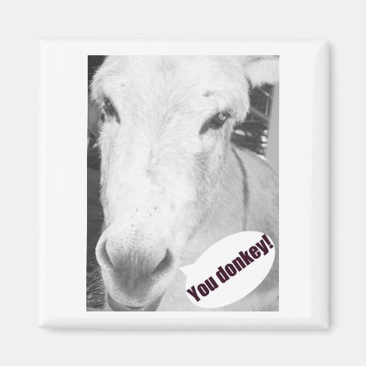 Jij ezel magneet (Voorkant)