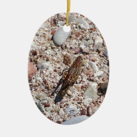 Jiminy Cricket Keramisch Ornament (Voorkant)