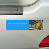 Jimmy Buffet Parrot, er is geen p... - Gepersonali Bumpersticker (Op auto)