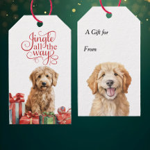 Jingle All The Way Goldendoodle Hond Kerstmis