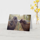 Jingle Baba en Google Mama Kaart (Gele Bloem)