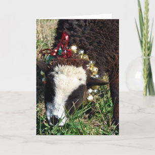 Jingle Bell Lamb, Vrolijk kerstfeest Feestdagen Kaart