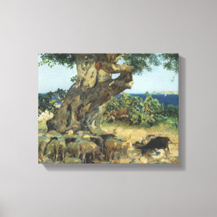 Joaquin Sorolla - de Johannesbroodboom Canvas Afdruk