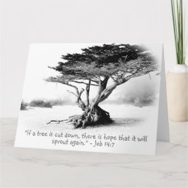 JOB 14:7 Large Folded Wenskaart Kaart