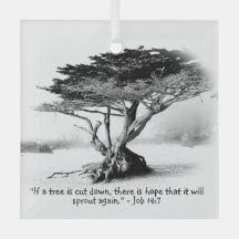 JOB 14:7 Ornement en verre