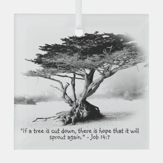 JOB 14:7 Ornement en verre (Recto)