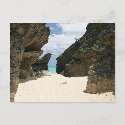 Jobsons Cove Bermuda Briefkaart (Voorkant)
