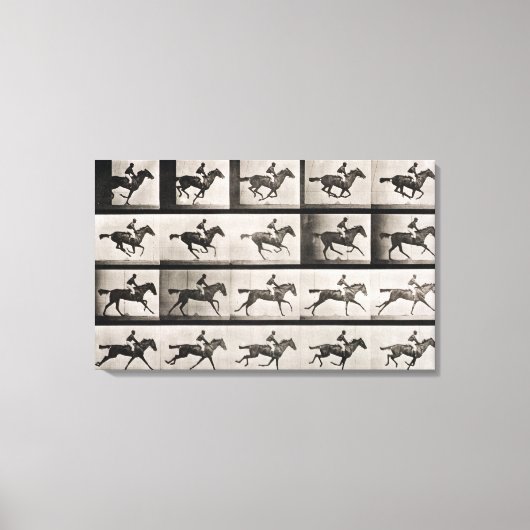 Jockey op een galoppingpaard, bord 627 van Anima Canvas Afdruk (Voorkant)