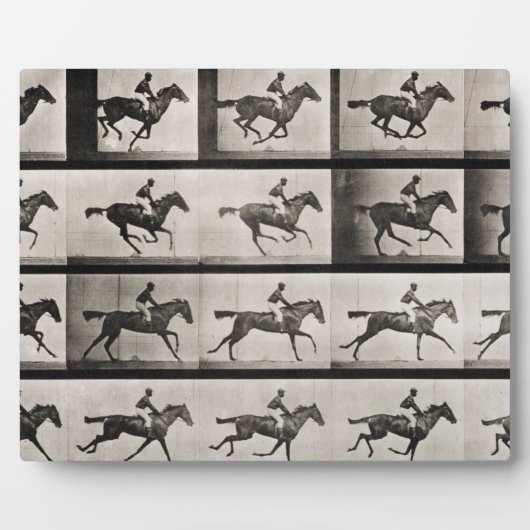 Jockey sur un cheval galopant, plaque 627 de 'Anim (Devant)