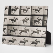 Jockey sur un cheval galopant, plaque 627 de 'Anim (Côté)