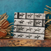 Jockey sur un cheval galopant, plaque 627 de 'Anim (Côté)