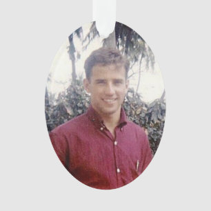 Joe Biden jeune hot stylisé