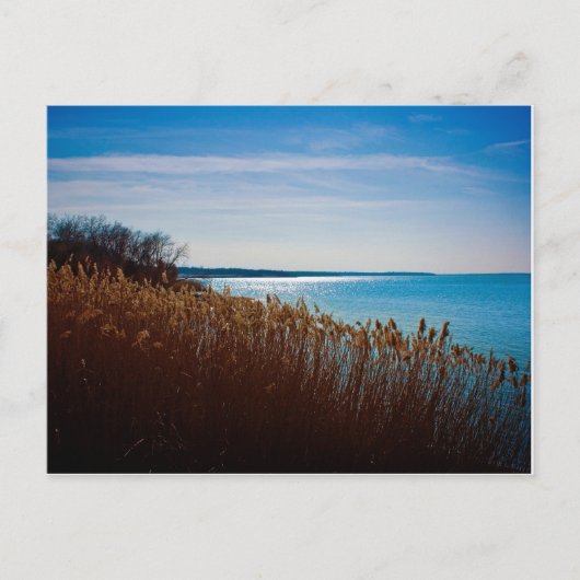 Joe Pool Lake briefkaart (Voorkant)