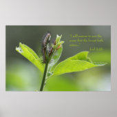 Joel 2:25 Poster des Écritures (Version C) (Devant)