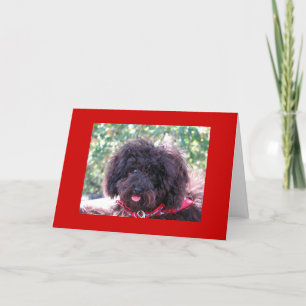 Joey "Dank je" Bedankkaart