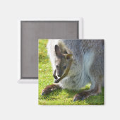 Joey in de zak magneet (Voorkant / Achterkant)