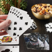 Joey les cartes de jeu de chiwawa (In Situ)