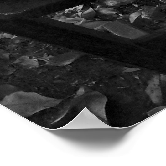 Jogglin' Board in Black and White Poster (Hoek)