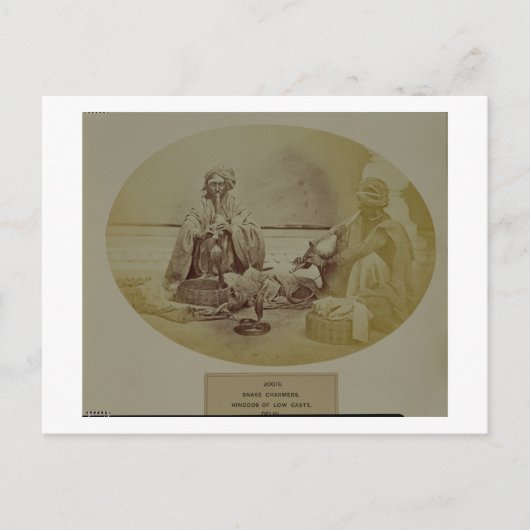 Jogis of Snake Charmers, Hindoes met een laag kast Briefkaart (Voorkant)