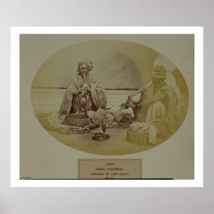 Jogis of Snake Charmers, Hindoes met een laag kast Poster