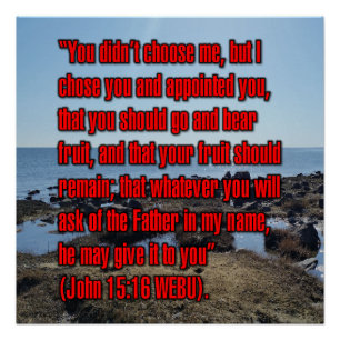 Johannes 15:16 WEBU Perfect Poster