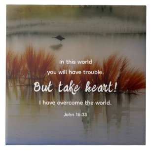 Johannes 16:33 Ik heb Overwonnen Bijbelvers Christ Tegeltje