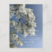 Johannes 3:16 Aangepaste tekst | Sneeuw Natuur ori Briefkaart (Voorkant)